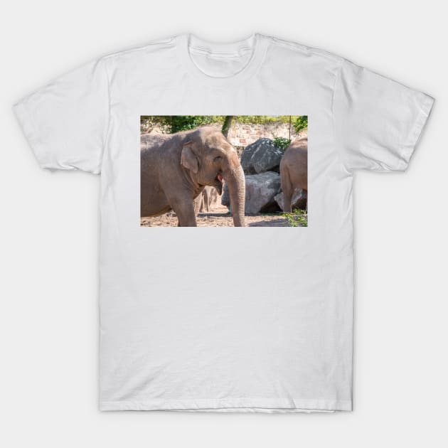 Close up of an Asian Elephant face T-Shirt by Russell102